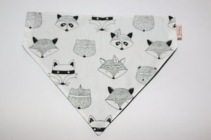 In the Wild pet bandana