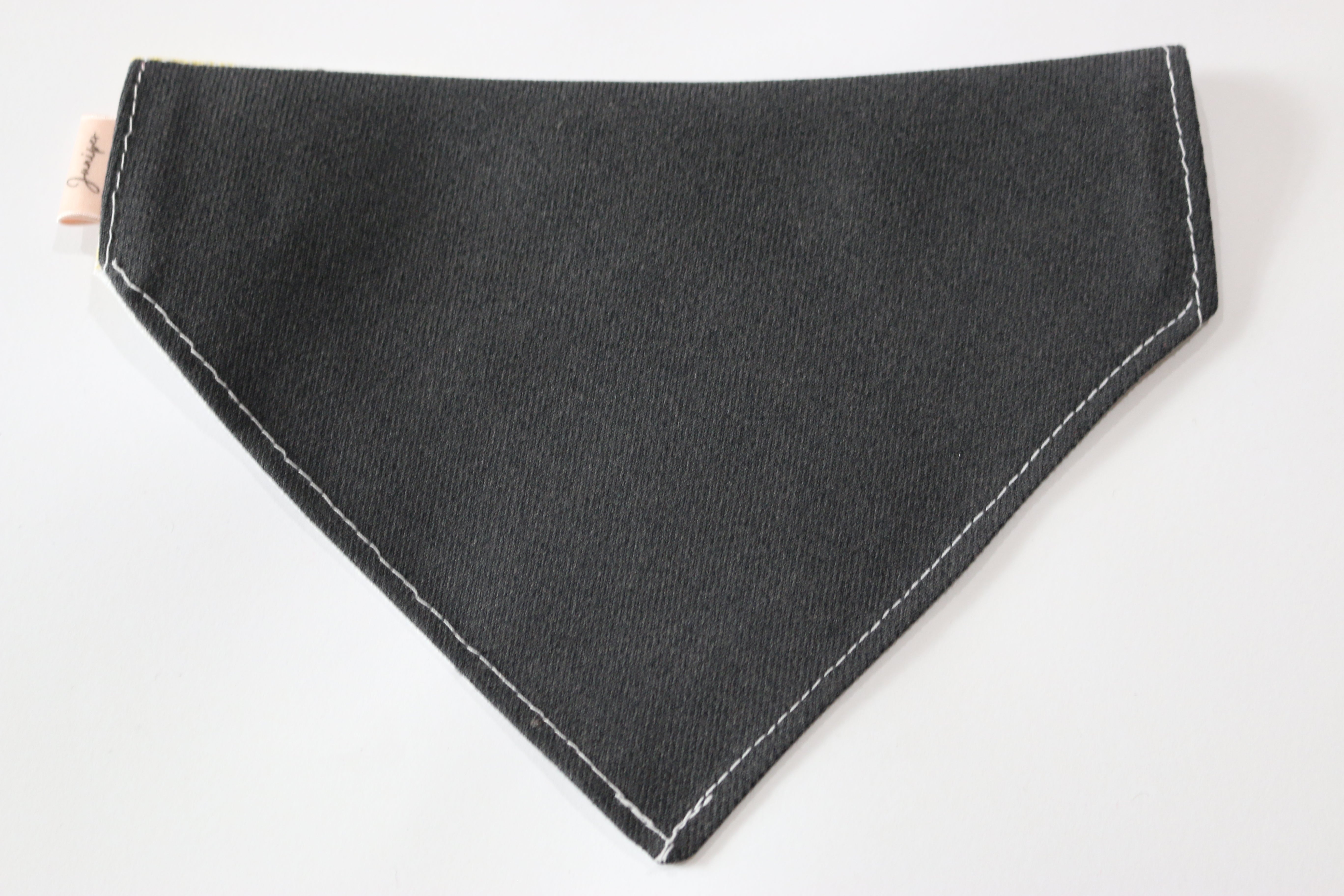 Tutti Fruitti pet bandana