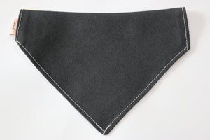 Tutti Fruitti pet bandana