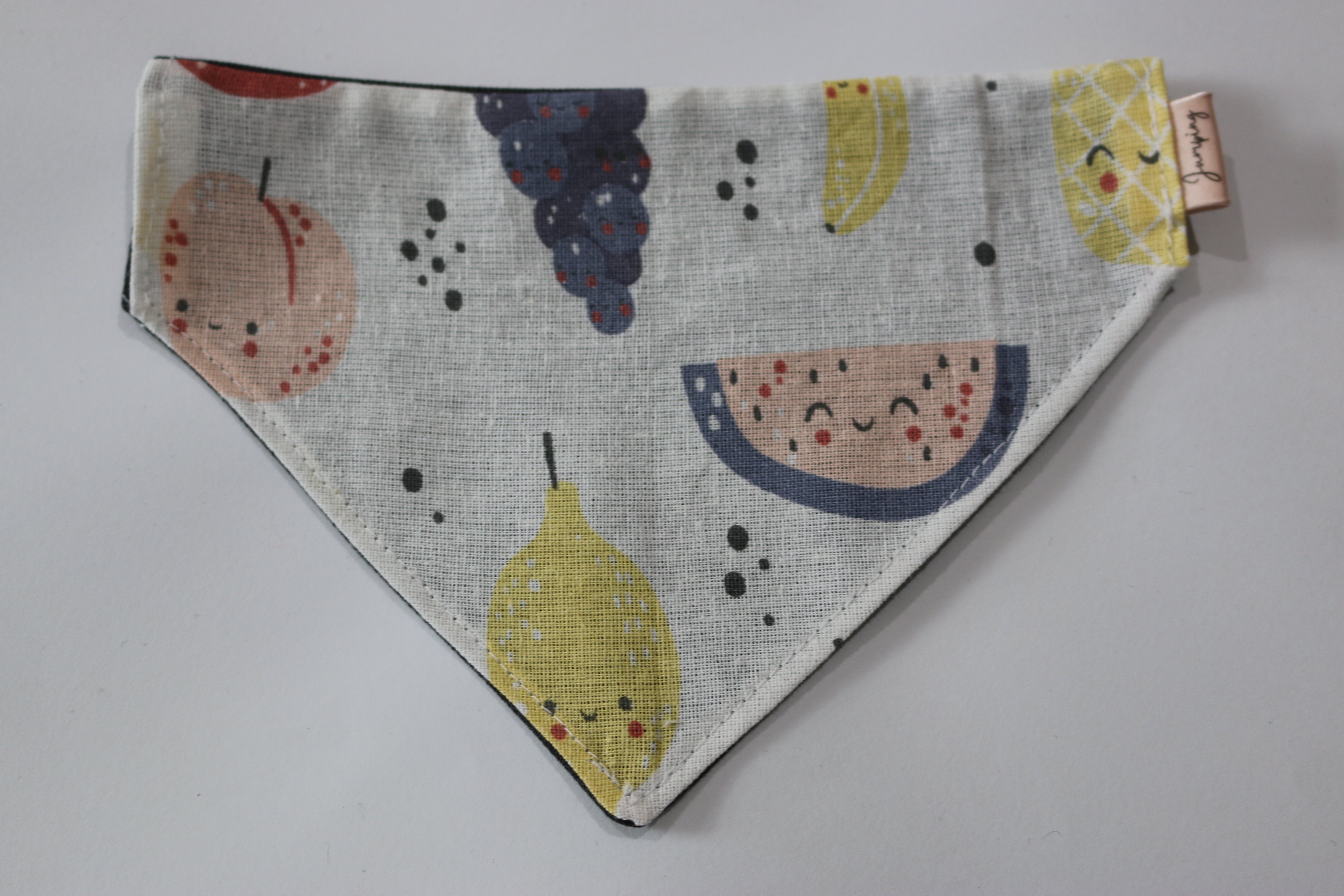 Tutti Fruitti pet bandana