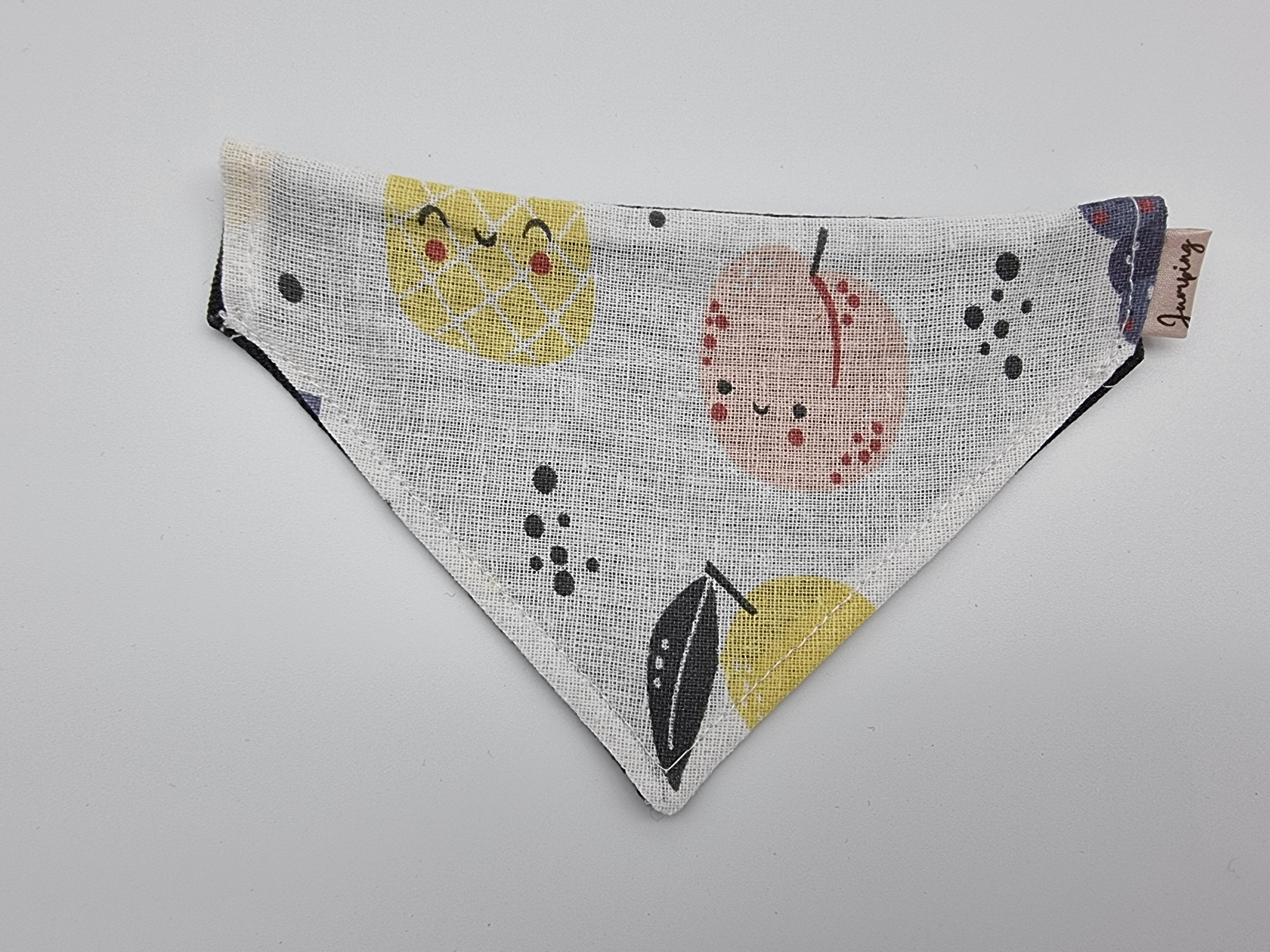 Tutti Fruitti pet bandana