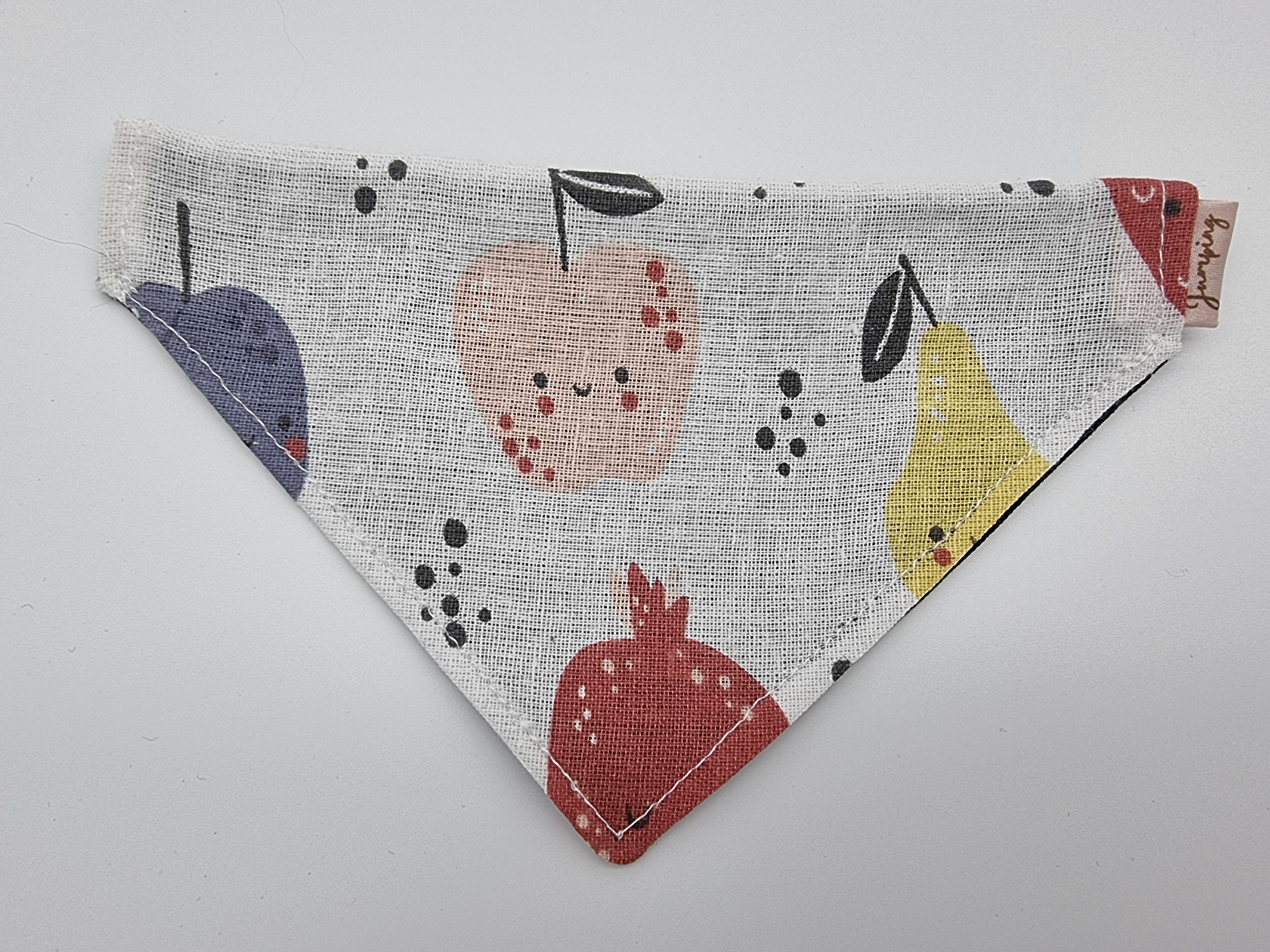 Tutti Fruitti pet bandana