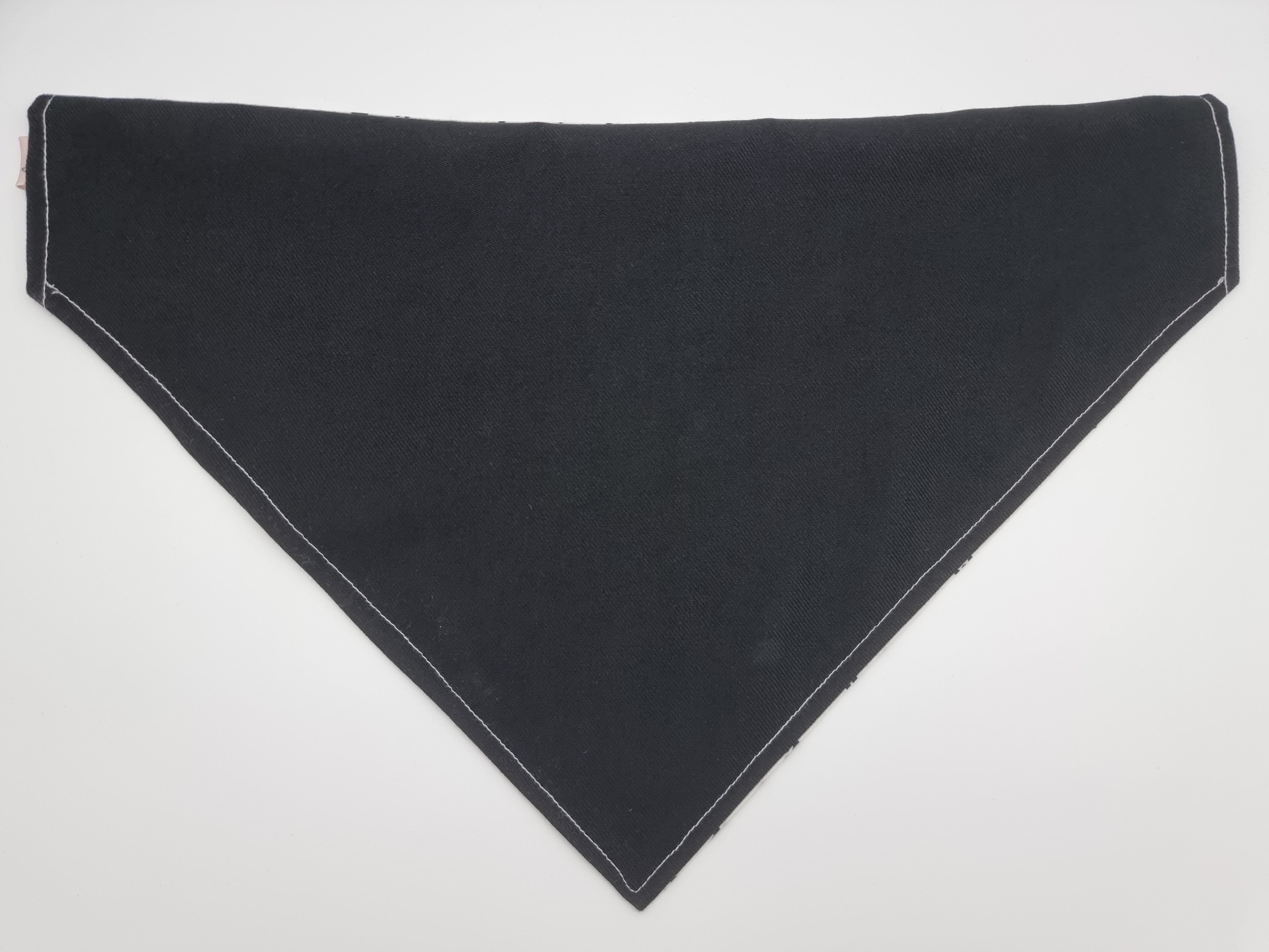 Paws Pet Bandana