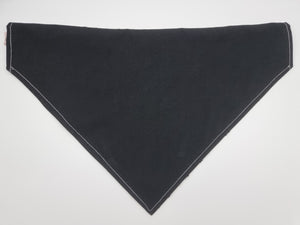Paws Pet Bandana