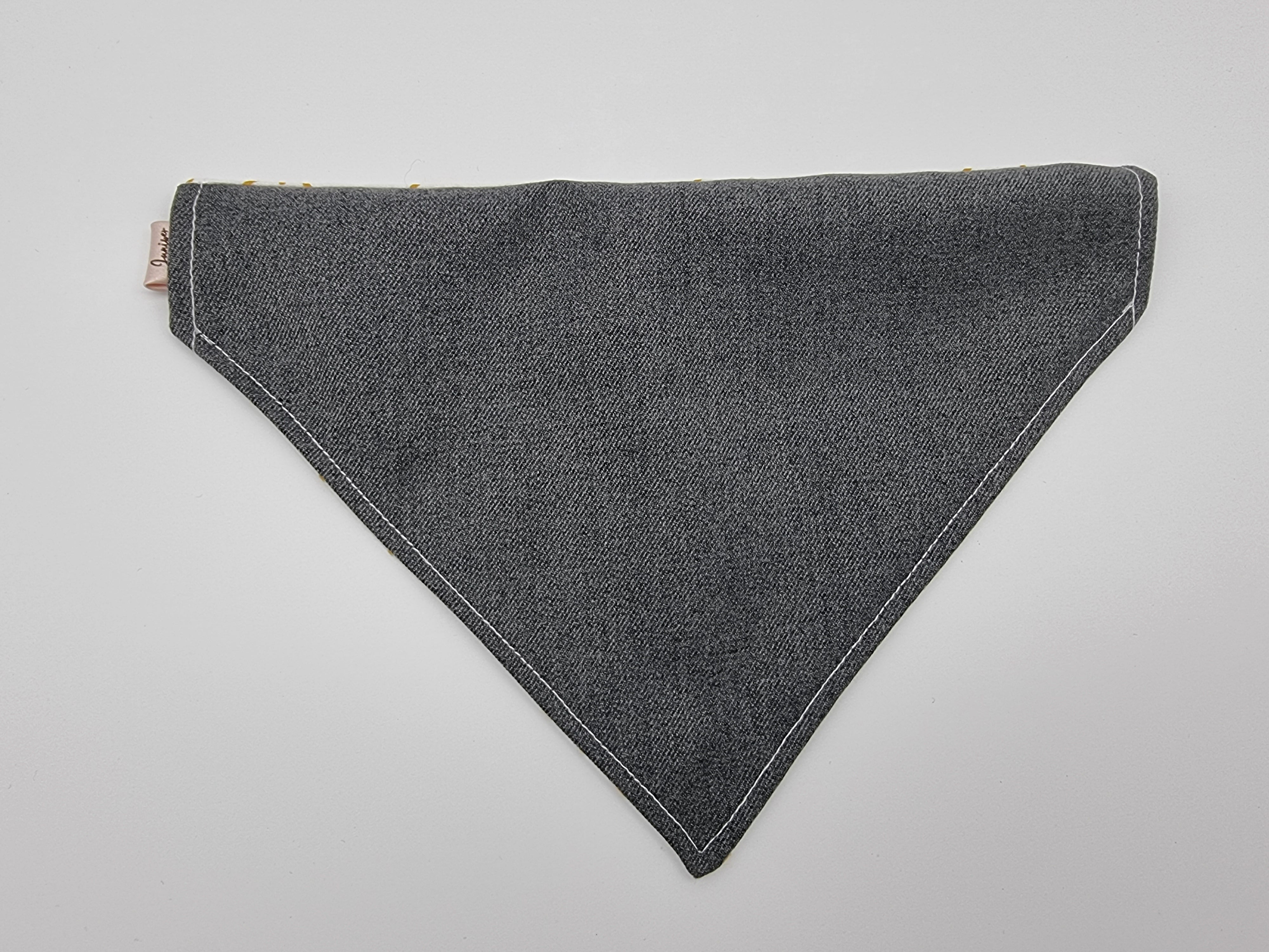 Planet pet bandana